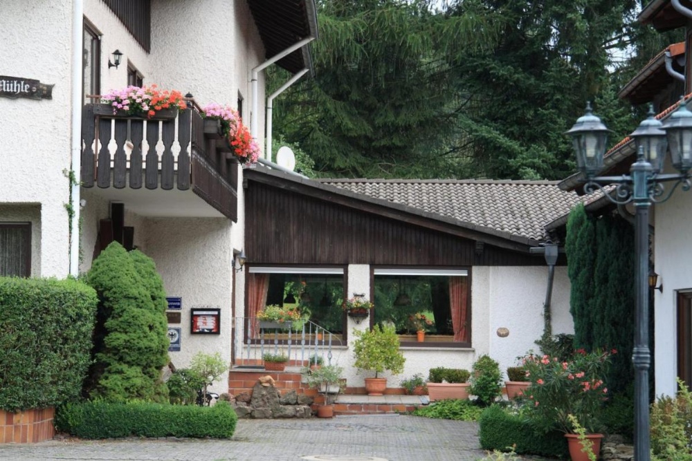 Rhönhotel Alte Mühle Image 14