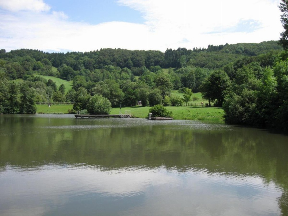 Rhönhotel Alte Mühle Image 29